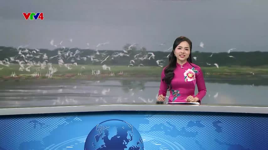 Hệ sinh thái vườn quốc gia Tràm Chim đang phục hồi