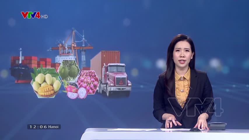 Liên kết trong logistics