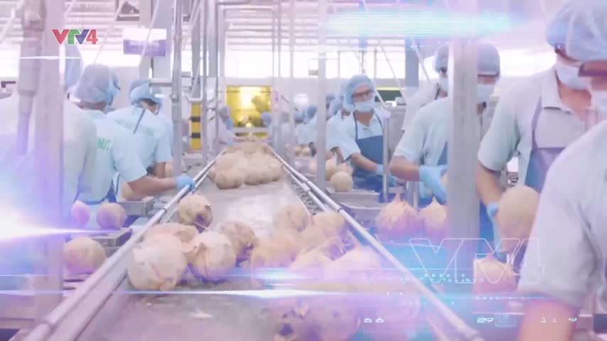 Tiêu điểm: VIFTA - Đòn bẩy thúc đẩy hợp tác kinh tế Việt Nam - Israel