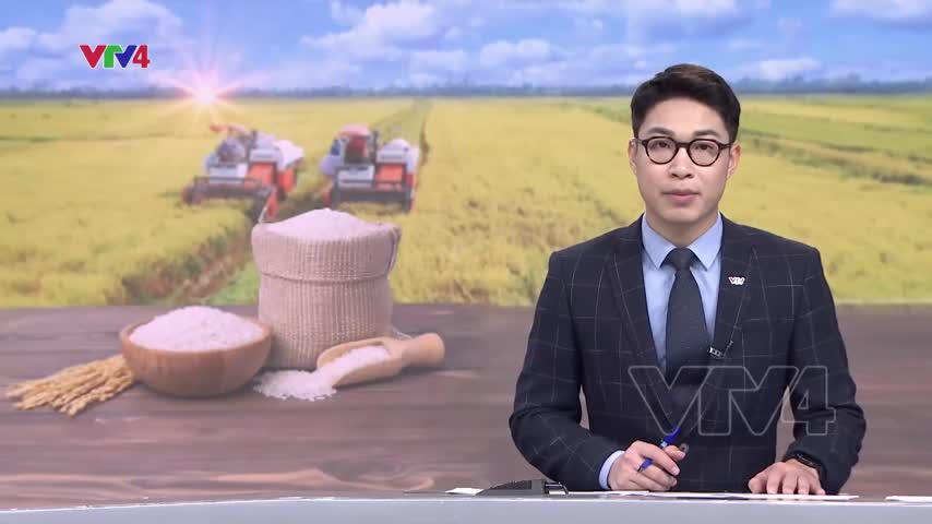 Doanh nghiệp tìm hướng xuất khẩu mới