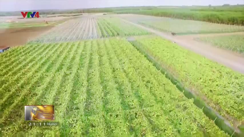 Nông dân Việt Nam trước thách thức của Công nghiệp 4.0