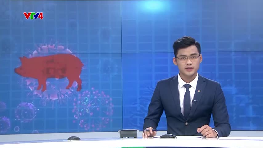 Dịch tả lợn châu Phi đã xuất hiện ở 9 tỉnh, thành phố