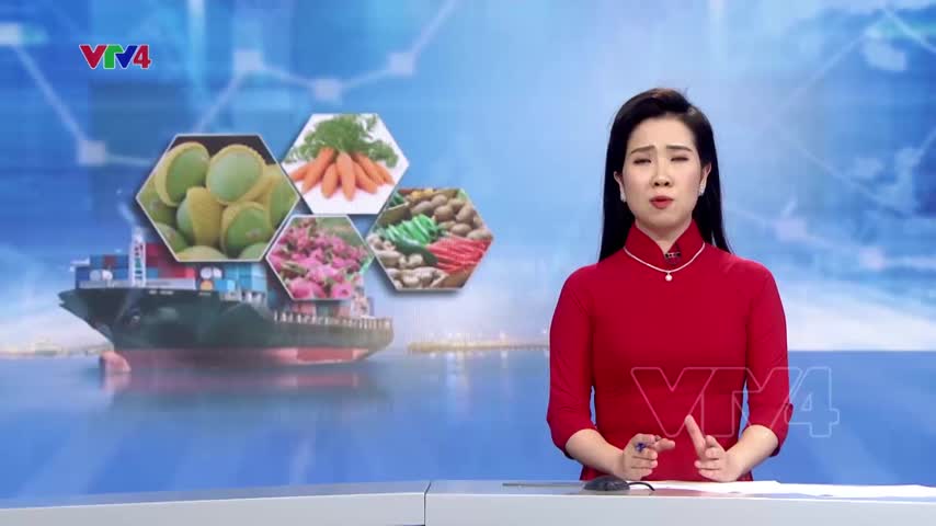 Xuất khẩu rau quả tháng 1 đạt hơn 300 triệu USD