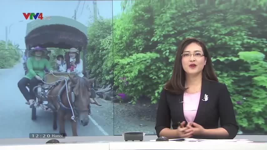 Nghề nài ngựa làm du lịch tại Tiền Giang