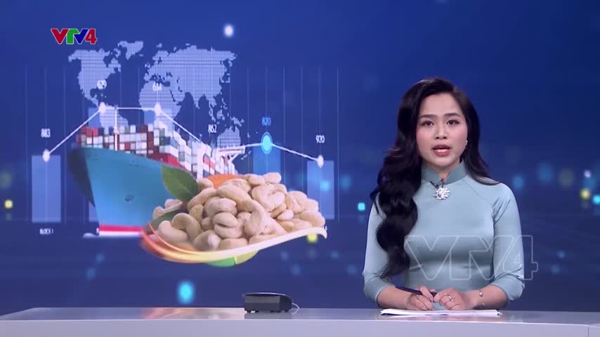 Khẩn trương xử lý, hỗ trợ các doanh nghiệp xuất khẩu Điều