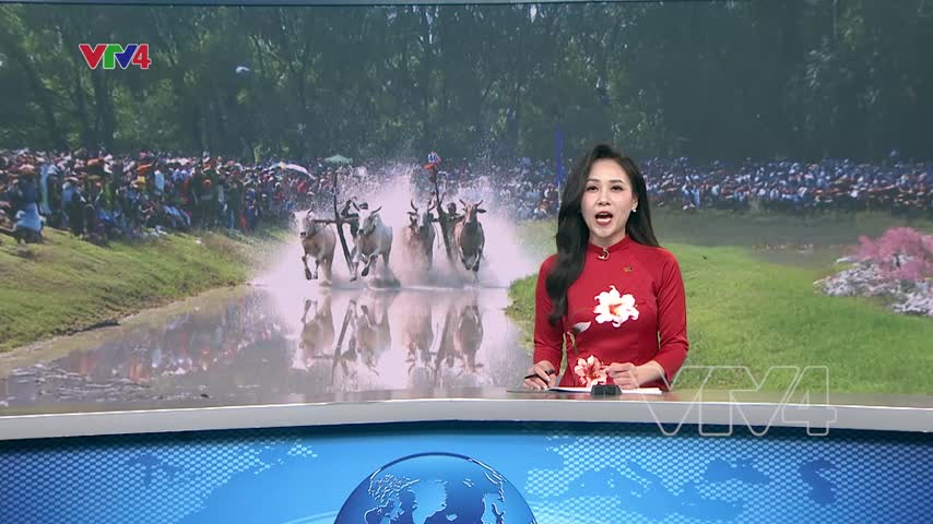 Hội Đua bò Bảy Núi