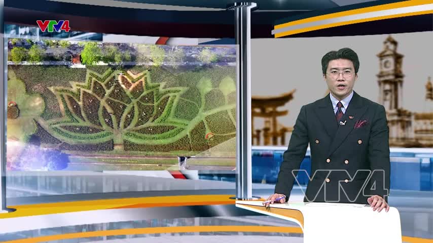 Đóa sen khổng lồ trong Kinh thành Huế