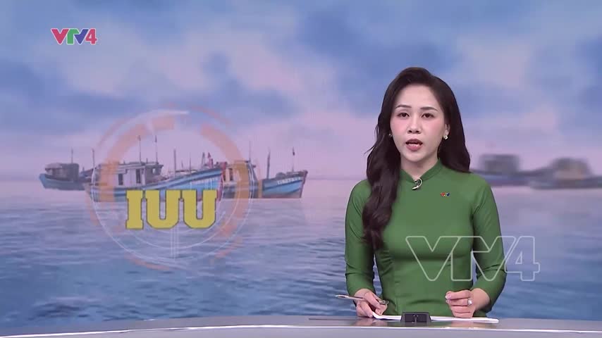 Phát động cao điểm chống khai thác IUU