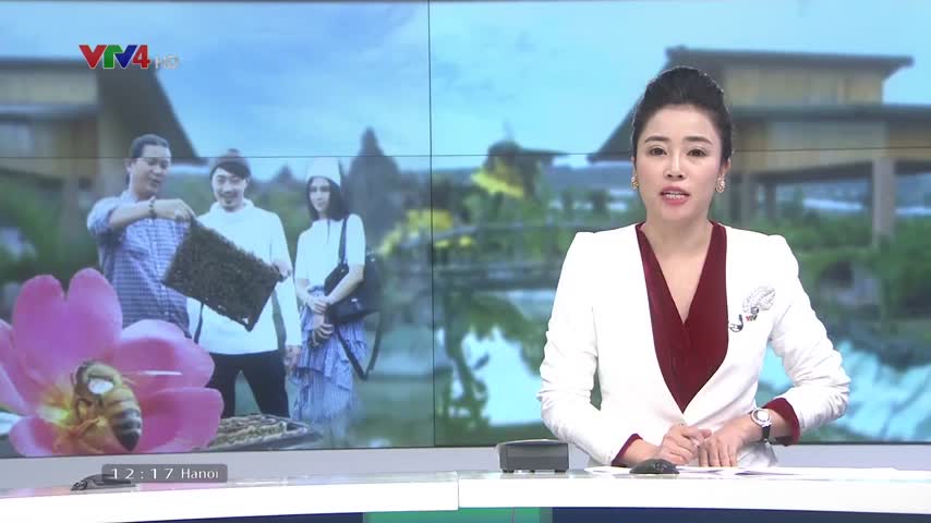 Độc đáo trải nghiệm giữa bầy ong