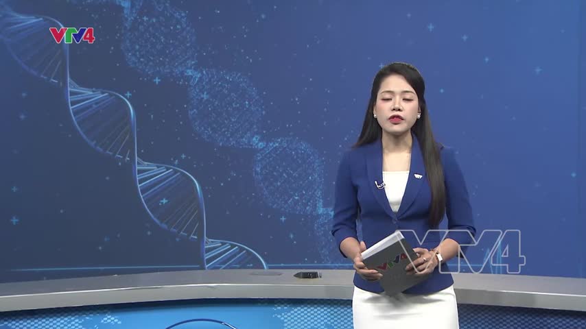 Sơn La hoàn thành lấy mẫu 115 phần mộ liệt sỹ