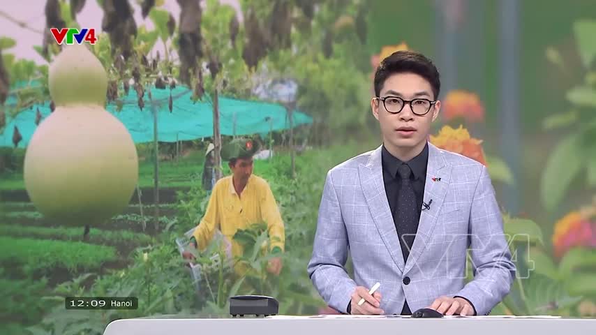 Sản xuất hữu cơ - sự thay đổi từ người nông dân 