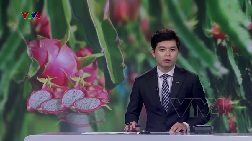 Đa dạng hóa thị trường cho thanh long Việt