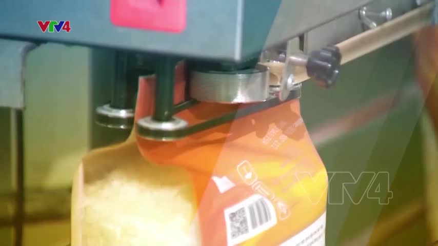 Toàn cảnh xuất khẩu nông lâm thủy sản