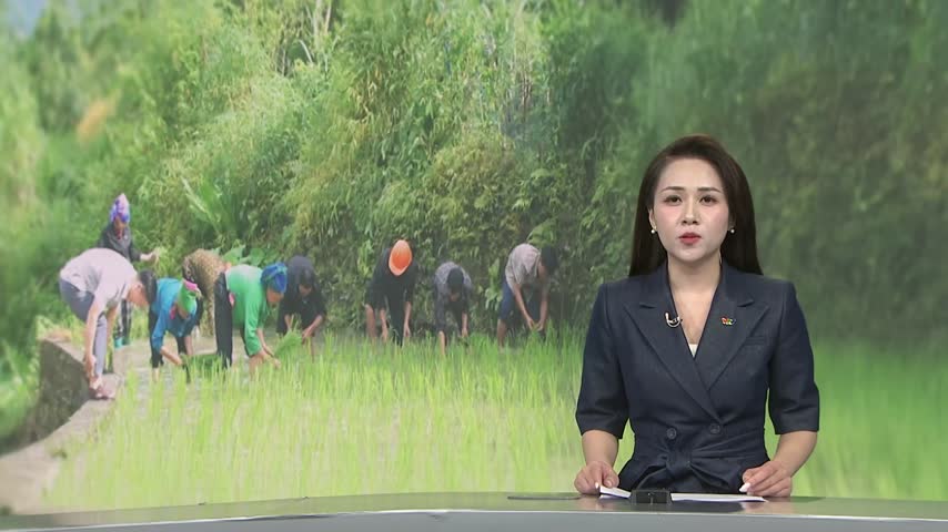 Cán bộ trẻ - nguồn lực mới ở thôn bản sau sáp nhập