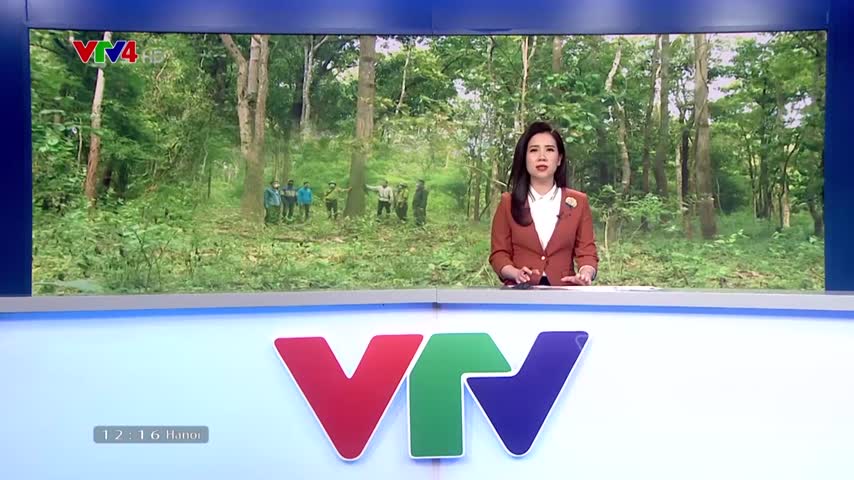 Hiệu quả từ việc giao khoán quản lý, bảo vệ rừng tại Yokdon