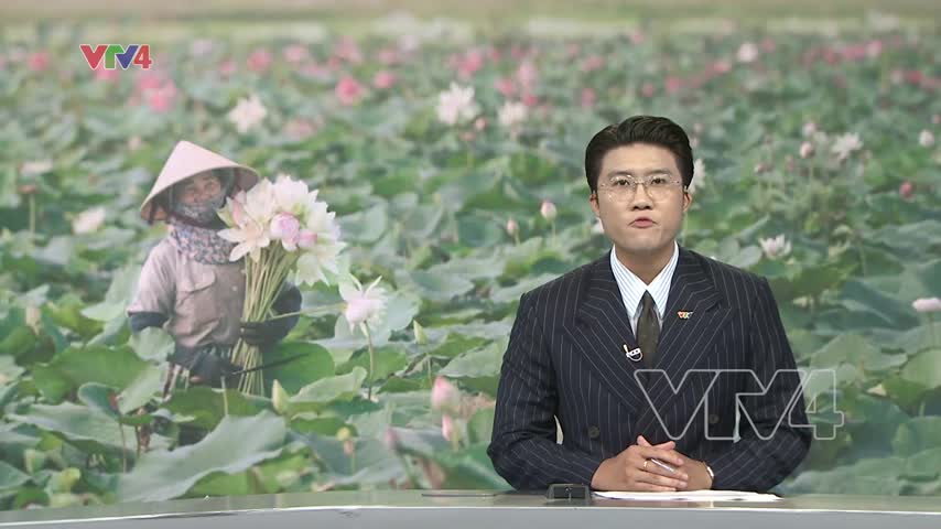 Nhân rộng mô hình đa giá trị trong nông nghiệp