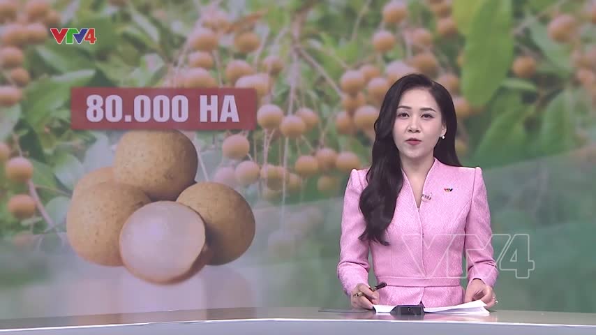 Mở rộng thị trường xuất khẩu cho nhãn