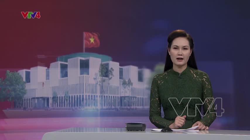 Giám sát về chương trình, sách giáo khoa