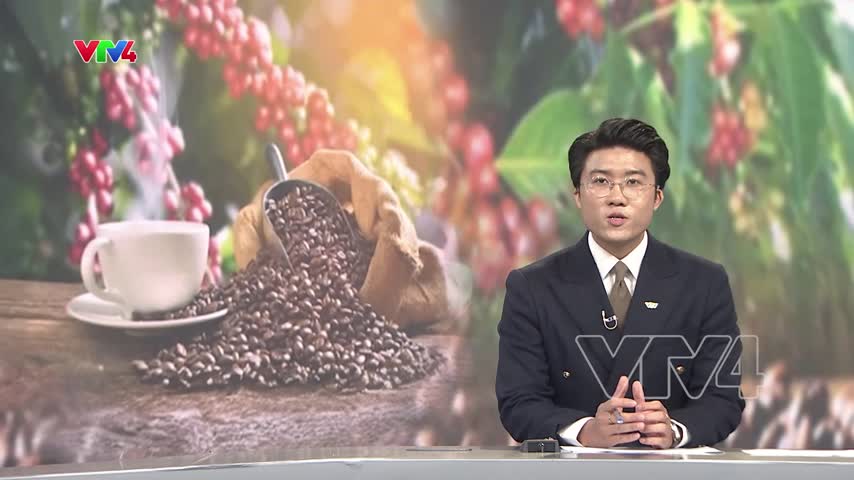 9 mẫu cà phê Robusta Việt Nam lọt Top 20 toàn cầu