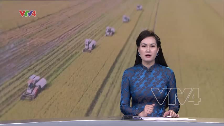 Cải cách thể chế và phát triển xanh - Chìa khóa để Việt Nam đạt thu nhập cao