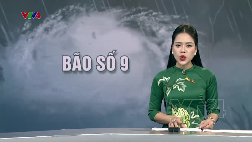 Chủ động ứng phó bão số 9