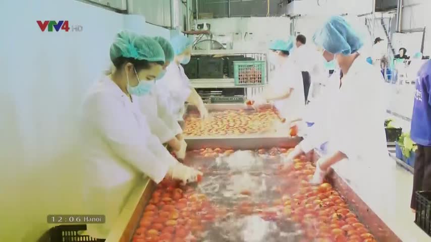 Tiêu điểm: Nâng cao năng lực xuất khẩu nông sản