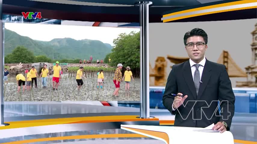 Bài học bên rừng ngập mặn
