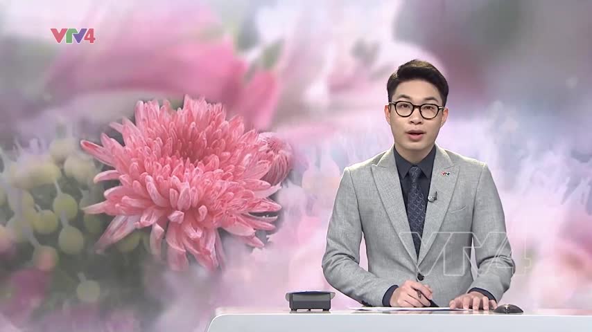 Những loài hoa nhuộm sắc lạ mắt