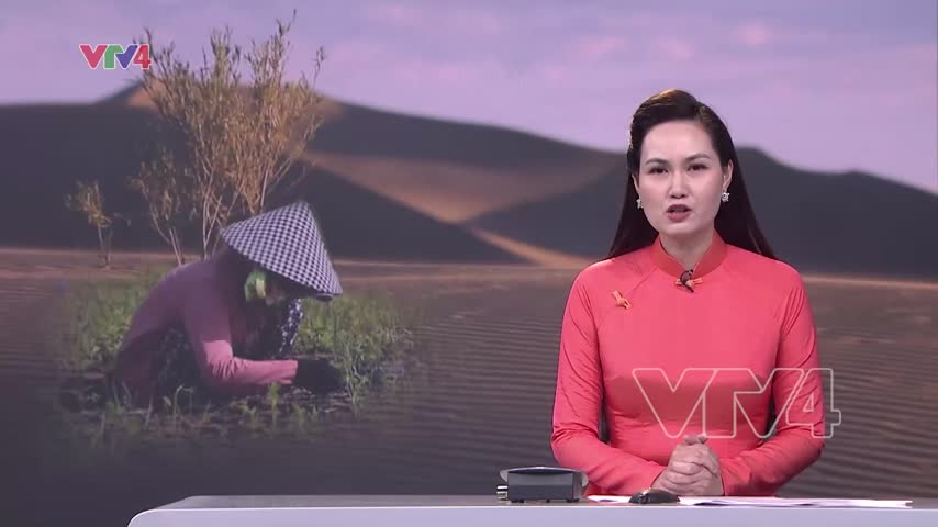 Nỗ lực phủ xanh vùng bán sa mạc ở Bình Thuận 