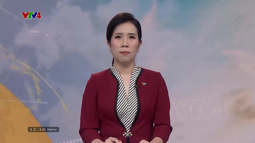 Thả muỗi mang Wolbachia để phòng chống sốt xuất huyết