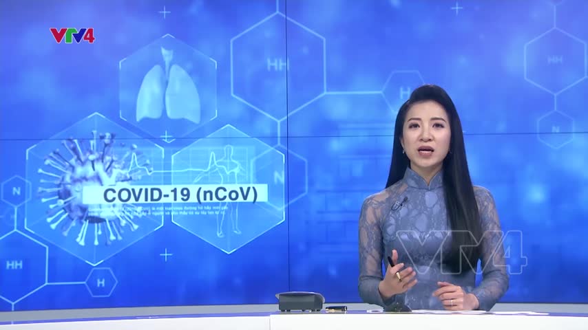 Các chuyến bay từ Hàn Quốc chỉ đáp ở sân bay địa phương