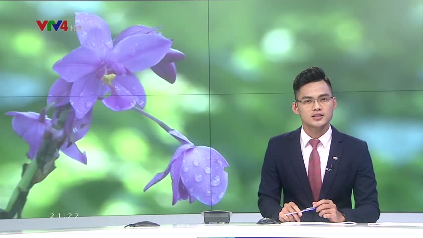 Khu bảo tồn lan rừng đầu tiên ở Việt Nam