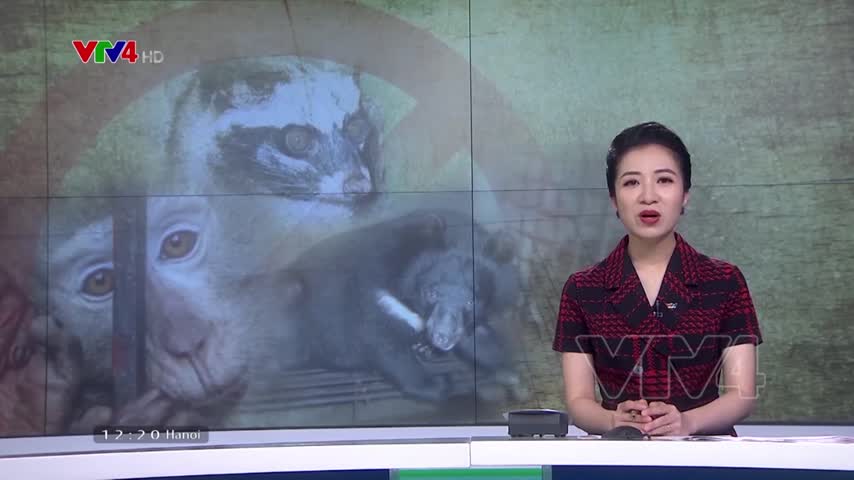 Người Việt ủng hộ đóng cửa các chợ buôn bán động vật hoang dã​