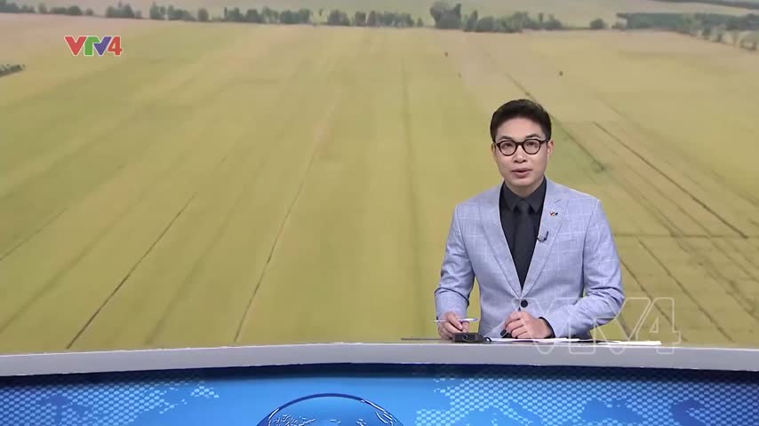 Công điện của Thủ tướng về đảm bảo cân đối cung cầu lúa gạo