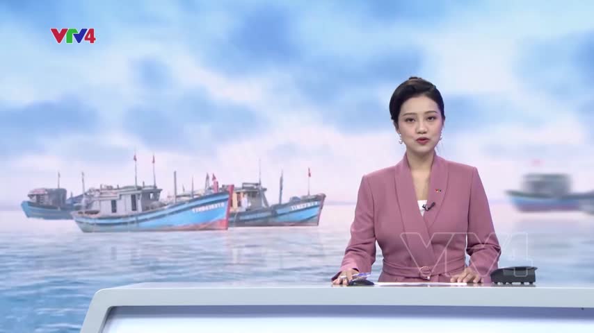 Cà Mau nỗ lực ngăn chặn tàu cá đánh bắt trái phép