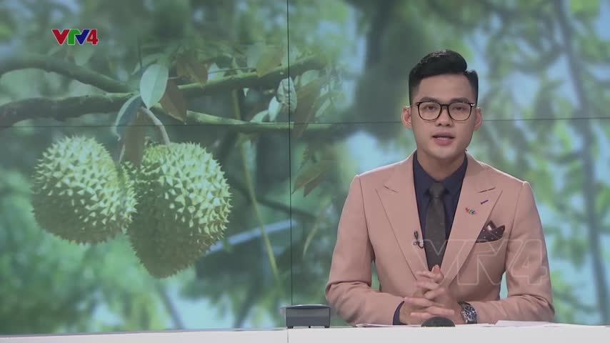 Quy hoạch sầu riêng thành cây trồng chủ lực