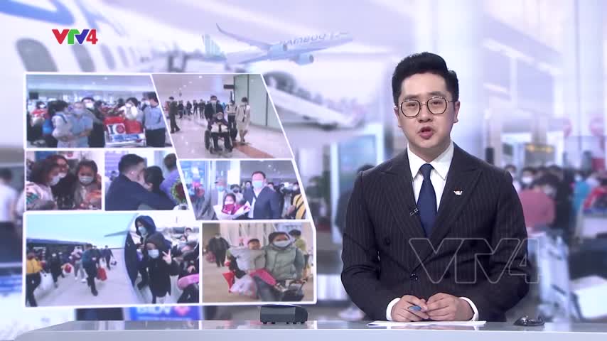 Chùm phỏng vấn người Việt tại Ucraina đã được sơ tán về nước