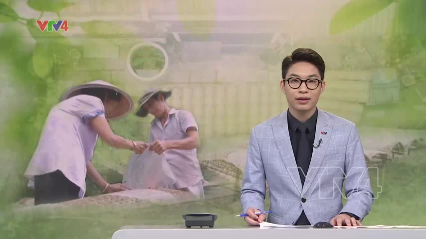 Bền bỉ làng nghề bánh tráng trăm năm