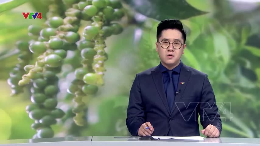 Hỗ trợ xuất khẩu hồ tiêu vào thị trường châu Âu