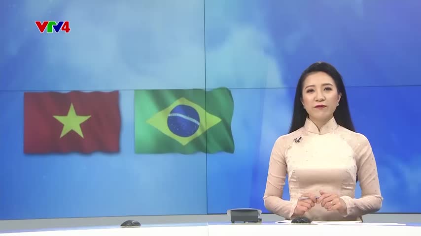 Nhiều cơ hội mở rộng hợp tác kinh tế Việt Nam - Brazil