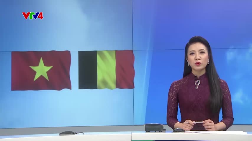 Thủ tướng hội kiến Nhà vua Bỉ
