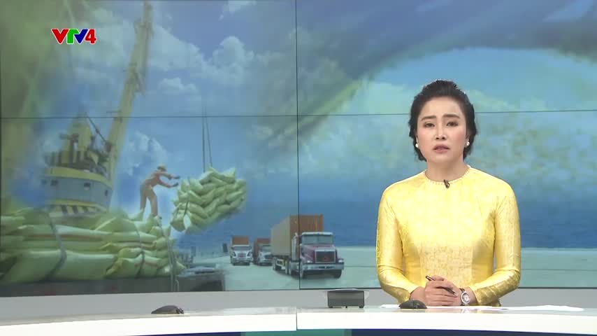 Gạo Việt xây dựng thương hiệu tại thị trường Hàn Quốc