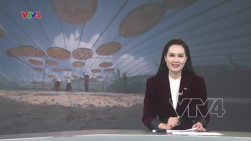 Cà Mau: Các làng nghề tất bật chuẩn bị hàng Tết