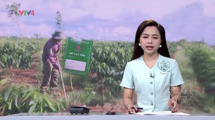 Tín dụng chính sách góp phần giảm nghèo