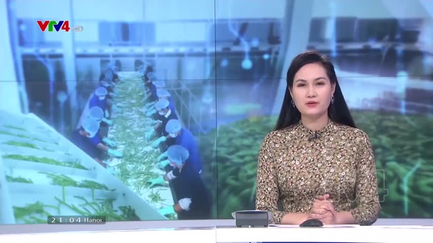 Chế biến góp phần tăng lợi nhuận cho nông dân