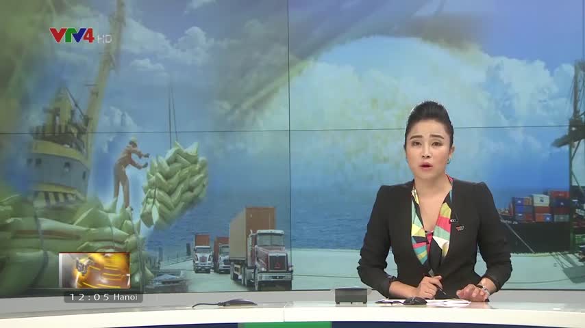 Việt Nam trúng nhiều gói thầu xuất khẩu gạo