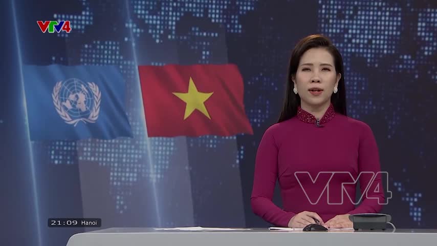 Thúc đẩy hợp tác toàn diện Việt Nam - Liên Hợp Quốc