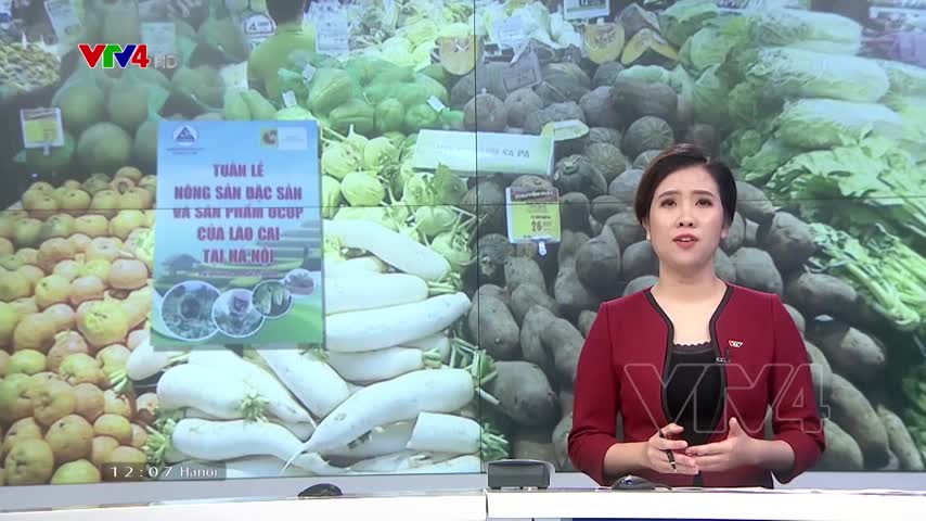 Lần đầu tiên Lào Cai giới thiệu nông sản đặc sản tại Thủ đô