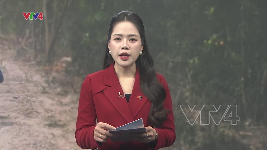 Tìm đồng đội lẫn trong đá và mìn