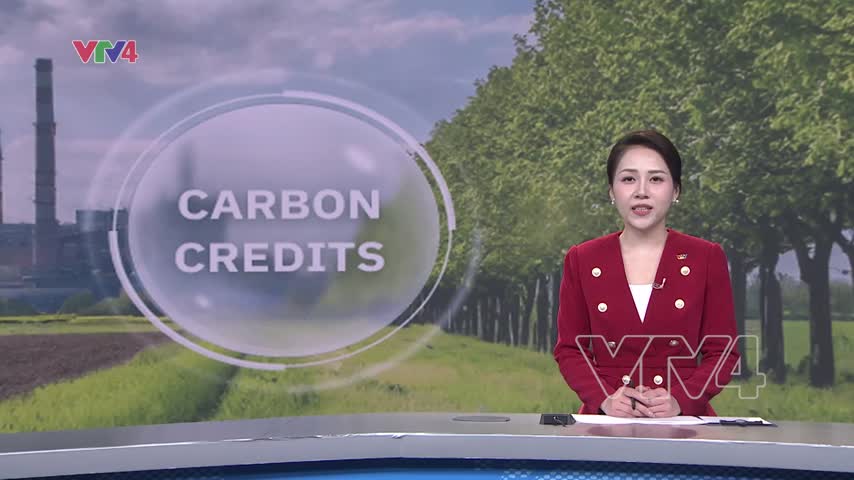 Hiện thực hóa sàn giao dịch Carbon
